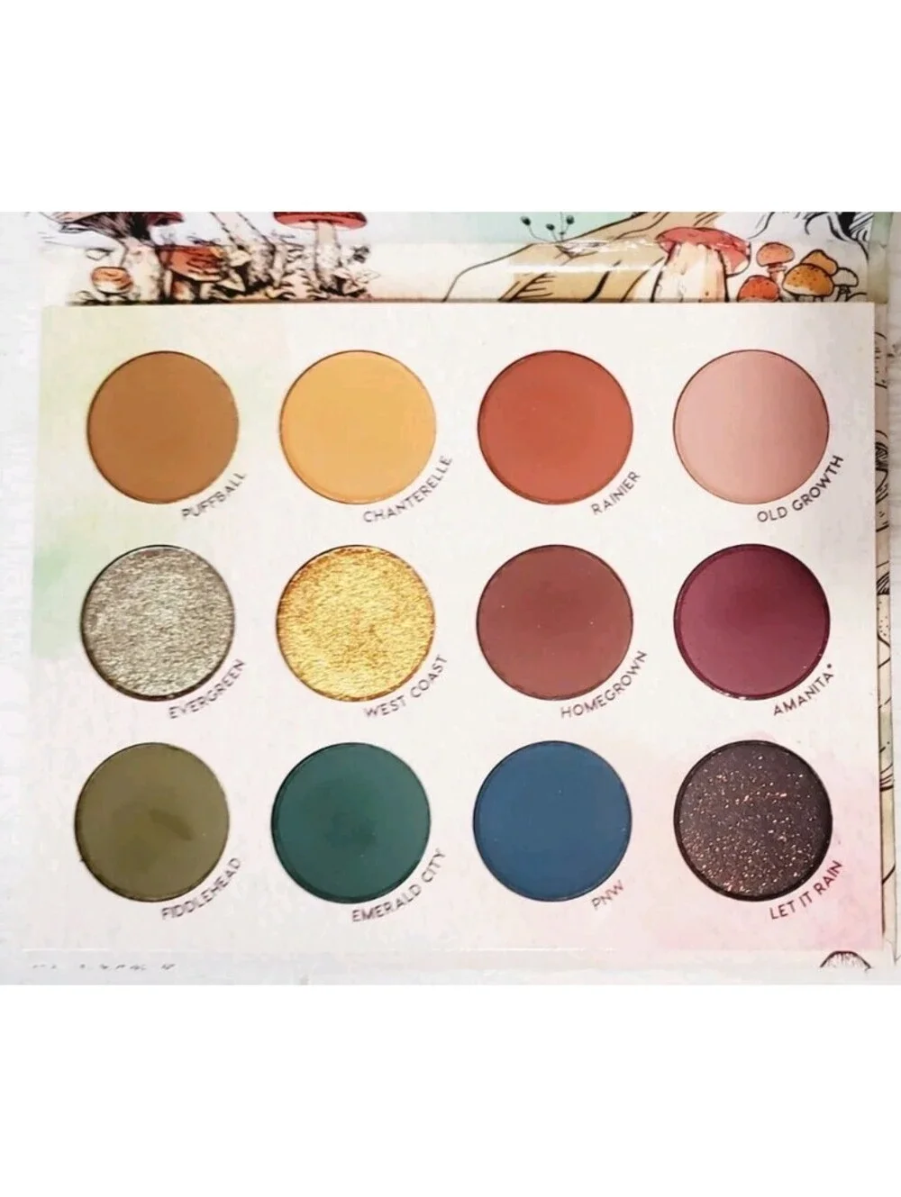 Raw Beauty Kristi x ColourPop At Forest Sight Eyeshadow Palette Rare - USA Made